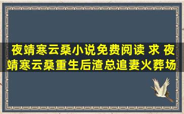 夜靖寒云桑小说免费阅读 求 夜靖寒云桑重生后渣总追妻火葬场 百度云资源,谢谢